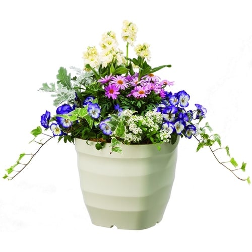 フレグラースクエアポット 28型 IV