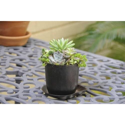 PON de eco 3号 ブラウン