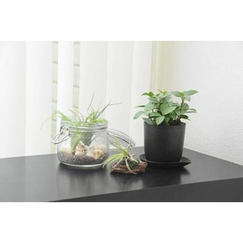 PON de eco 3号 ブラウン