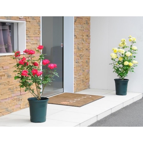 ローズガーデンポット 36型 OBE