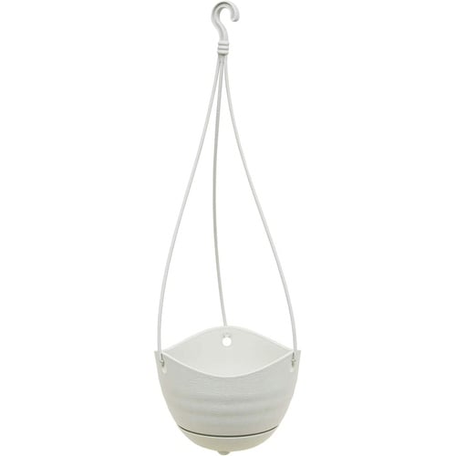 フレグラー吊り鉢 6号 IV