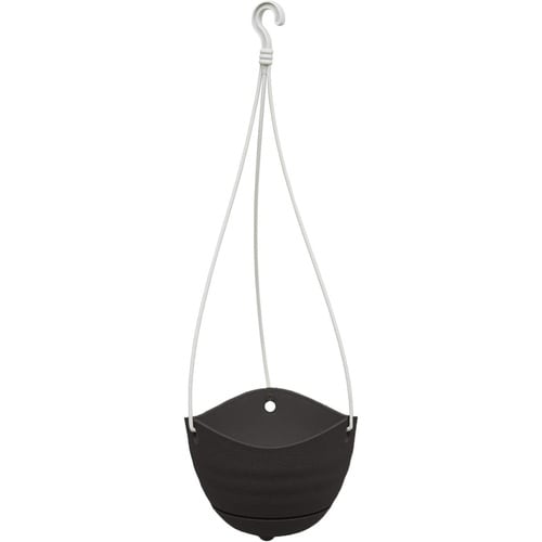 フレグラー吊り鉢 6号 DBR