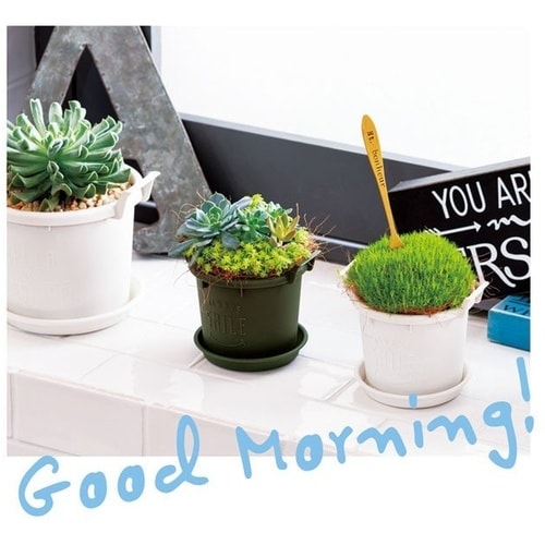 グロウコンテナ 18型 W