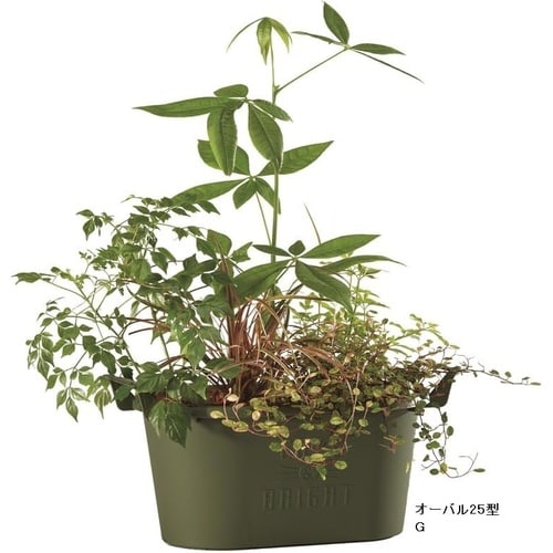 グロウコンテナ オーバル オーバル25型 W