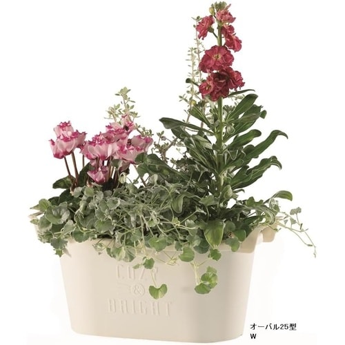 グロウコンテナ オーバル オーバル25型 G