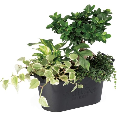 グロウコンテナ オーバル オーバル33型 BK