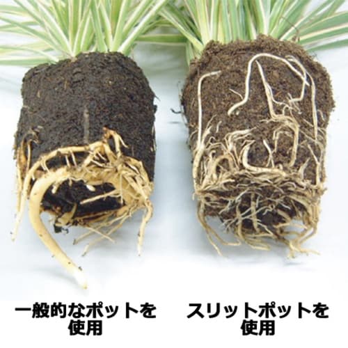 スリットポット5個入 丸 10.5cm