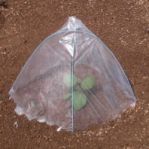 ぽかぽか交換用キャップ 10枚入