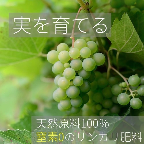 リンカリ肥料らんまん粒状 700g