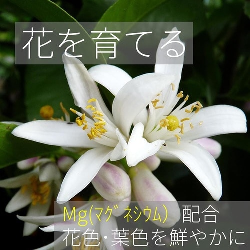 リンカリ肥料らんまん粒状 700g