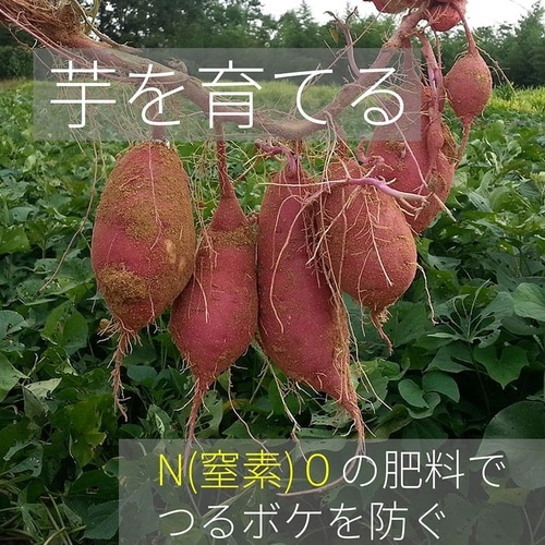 リンカリ肥料らんまん粒状 700g