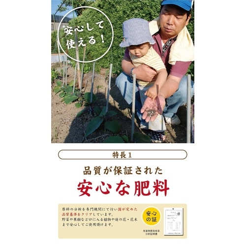 新)醗酵油かす 粉末 650g