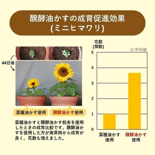 新)醗酵油かす 粉末 2kg