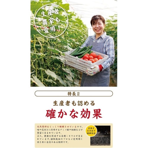 新)醗酵油かす 大粒 500g