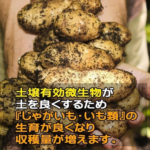 じゃがいも・いも類の肥料 700g