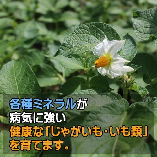 じゃがいも・いも類の肥料 700g