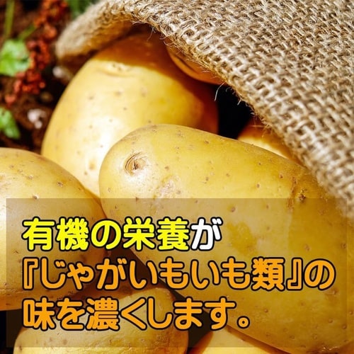 じゃがいも・いも類の肥料 2kg