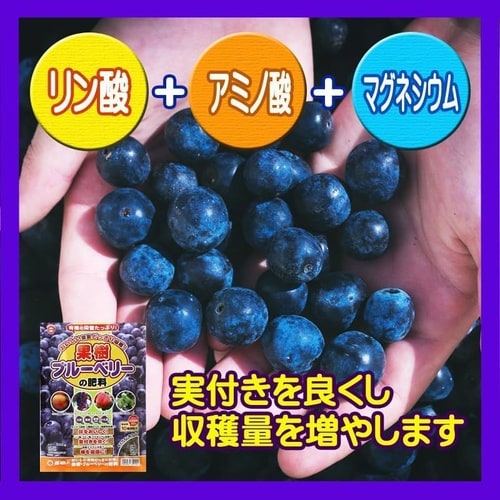 果樹・ブルーベリーの肥料 500g