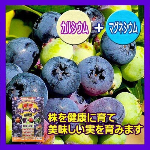 果樹・ブルーベリーの肥料 500g