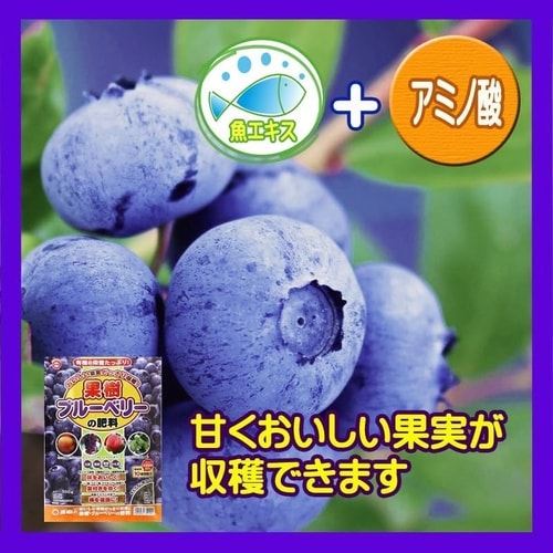 果樹・ブルーベリーの肥料 500g