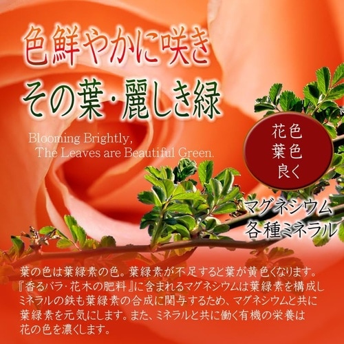 バラ・花木の肥料 1.5kg