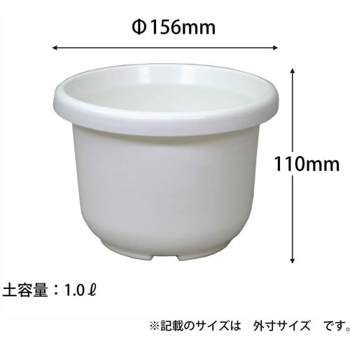 輪鉢F型 5号 ホワイト