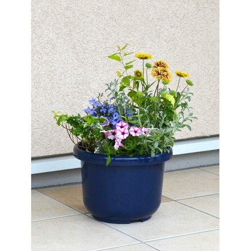 輪鉢F型 6号 ブルー