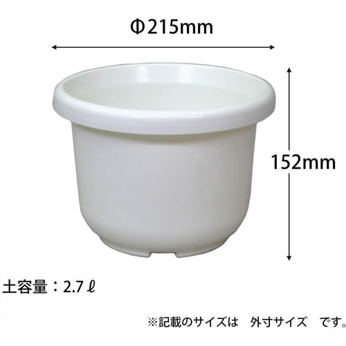 輪鉢F型 7号 ホワイト