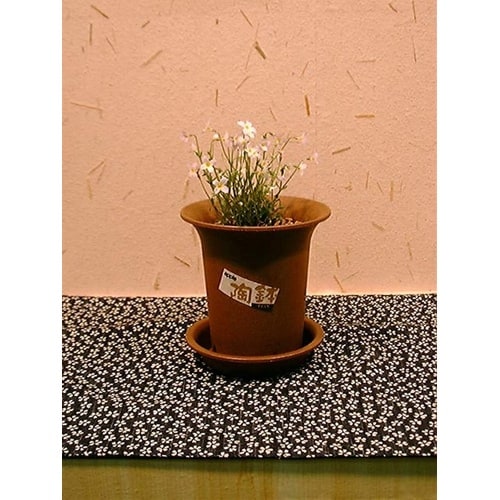 陶鉢 深型 3.5号 エビチャ