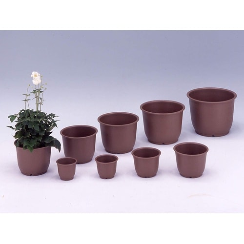 陶鉢 輪型 3.5号 キンチャ