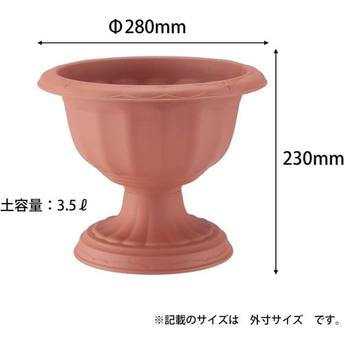 クイーンカップ 28型 ブラウン