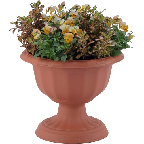 クイーンカップ 28型 ブラウン