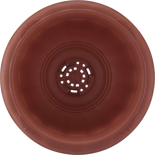 クイーンカップ 28型 ブラウン