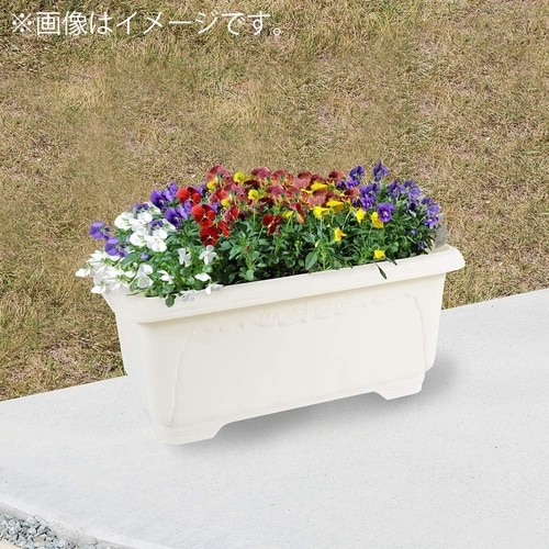 クイーンワイド 500型 ホワイト