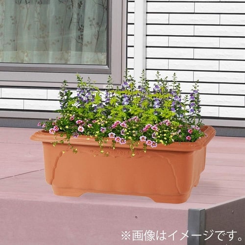 クイーンワイド 500型 ブラウン