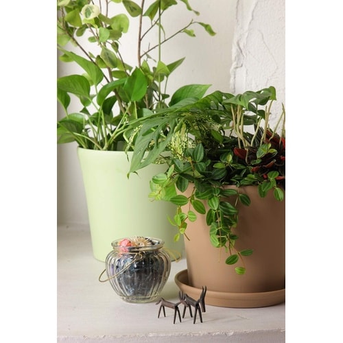 コティポット 190型 ブラウン