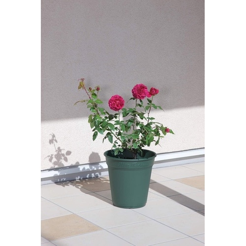 ロゼアポット 380型 グリーン