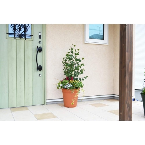 ロゼアポット 450型 ブラウン