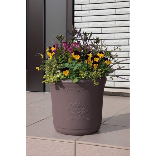 セシルポット 23型 アッシュブラウン