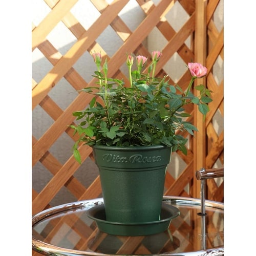 ロゼアポット 180型 グリーン