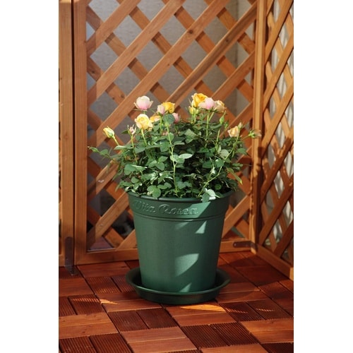 ロゼアポット 240型 グリーン