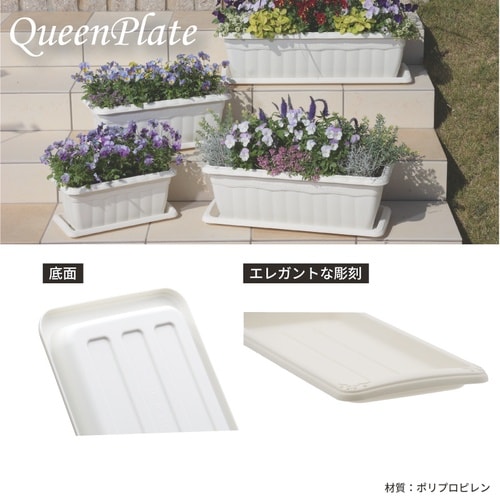 クイーンプレート 650型 ホワイト