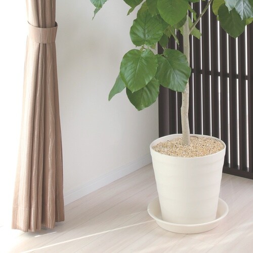 クラフトプレート 40型用 ホワイト