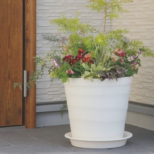 クラフトプレート 24型用 ホワイト