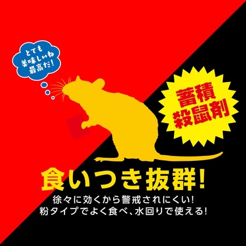 イカリネオラッテP 10gX16