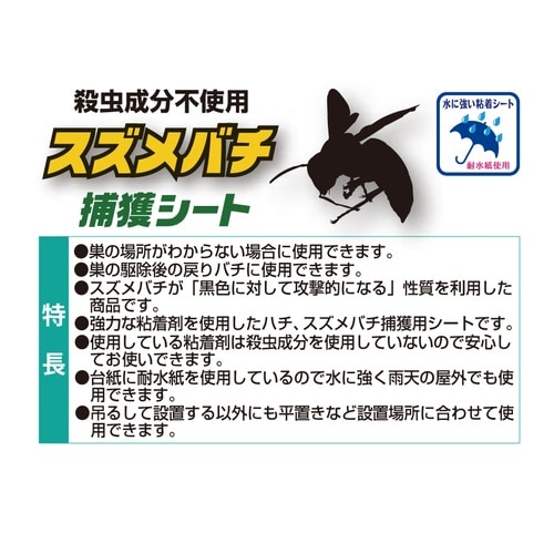 スズメバチハンター スズメバチ捕獲シート 2枚入