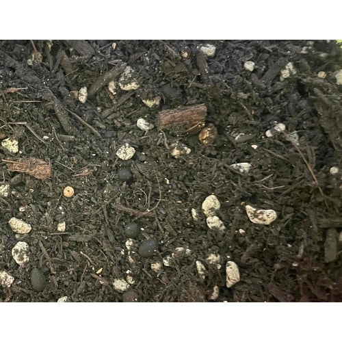 顆粒HB−101入古い土の再生材DX 5L