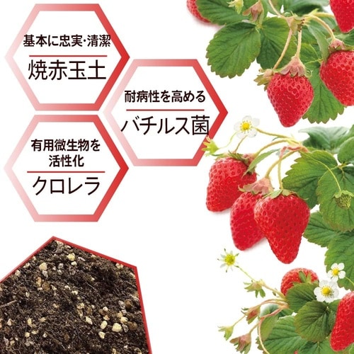 クロレラの恵みR いちごの土 7L