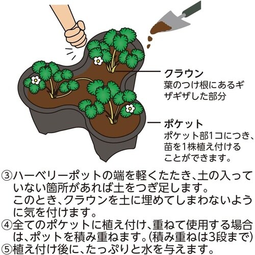 クロレラの恵みR いちごの土 7L