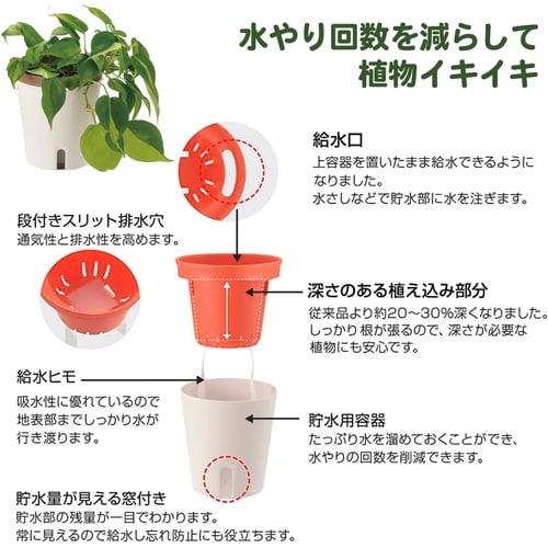 ミエルノPlus ポット 17型N W